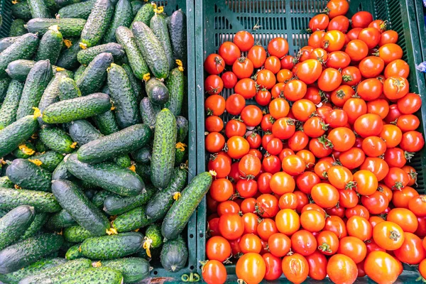 A farm stand display of organic vegetables. Produce. tomatoes and cucumbers. Vegetable stall at the market