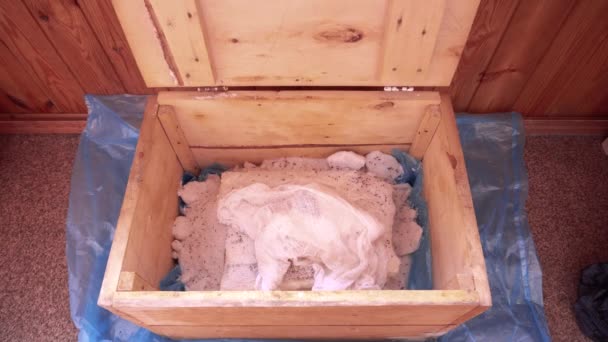 Рука открывает деревянный ящик, в котором соленый бекон покрыт марлей — стоковое видео