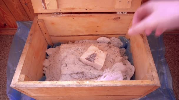 Une main ouvre une boîte en bois dans laquelle le saindoux est salé, recouvert de gaze et coupe un morceau de saindoux salé — Video