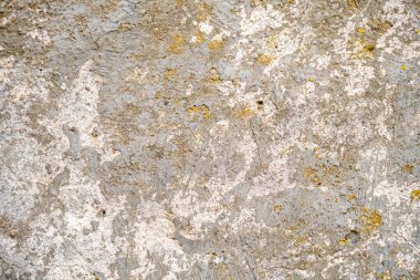 Beton duvar yosunla kaplı, tasarımcı için arka plan. Sert taş dokusu.