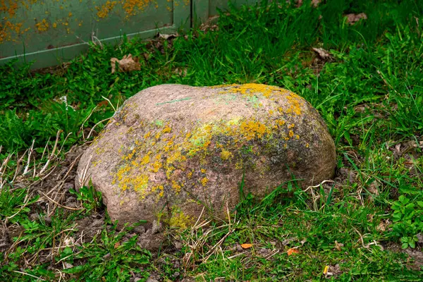 Uma grande pedra coberta de musgo jaz na grama. Uma pedra enorme coberta de musgo no quintal — Fotografia de Stock