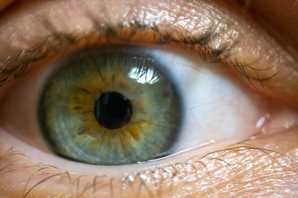 Kvinnliga ögon med ögonfransar närbild, förträngda pupiller, ögonglob närbild — Stockfoto
