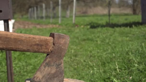 Een bijl hakt een blok hout in tweeën om een barbecue aan te steken — Stockvideo