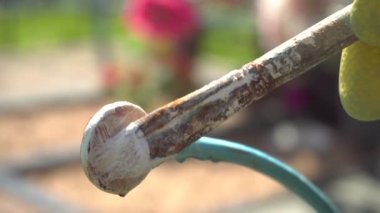 Düşük boya ve fırçayla yapılmış metal bir yapının başarısız resmi, mezarlıkta çit boyamak.