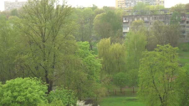 Kraftigt regn på en molnig dag mot bakgrund av blommande träd och grönt gräs, våt dag, regnig dag landskap, regnvy från fönstret — Stockvideo