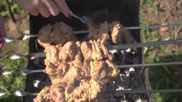 Barbacoa a la parrilla, carne sobre brasas calientes, carne marinada sobre brochetas se fríe en la parrilla — Vídeos de Stock