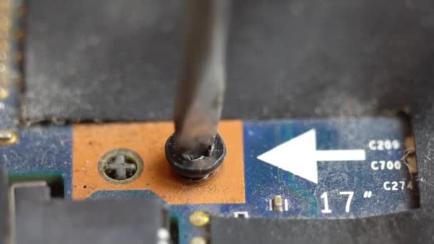 Unscrewing a screw on a laptop motherboard, unscrewing and tightening a bolt into an integrated board — Stock Video