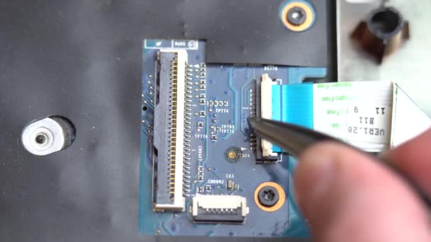 Anschluss eines Flexkabels an das Laptop-Motherboard mit Pinzette, Laptop-Reparatur in einem Service-Center — Stockvideo