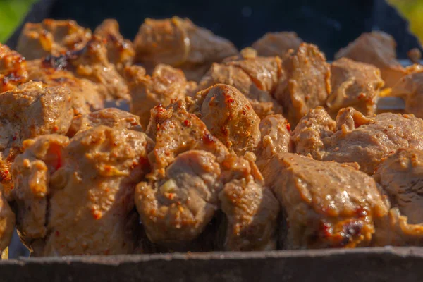 Grilled meat on skewers, fried kebabs on skewers on rusty brazier — Stock Photo, Image