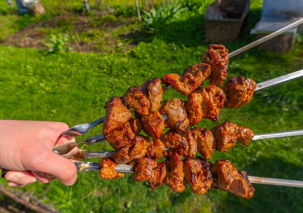 Mano sostiene brochetas con brochetas fritas en el fondo de hierba verde, carne a la parrilla en brochetas — Foto de Stock