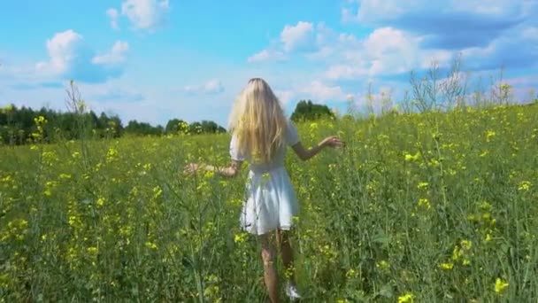 Mladá krásná dívka v bílých šatech prochází kvetoucí řepkové pole a dotýká se rostlin s rukama a pak narovnává své dlouhé vlasy v létě — Stock video