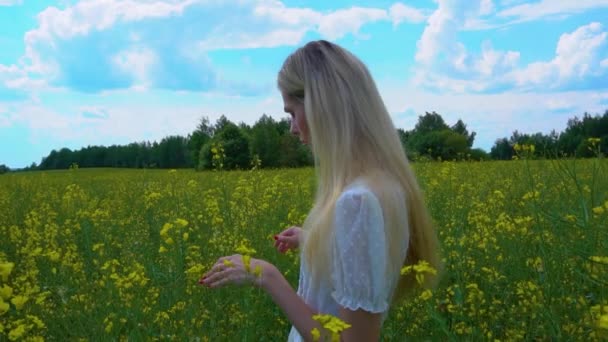 En kvinna går genom ett blommande rapsfält, rör vid rapsblommorna med handen en solig sommardag — Stockvideo