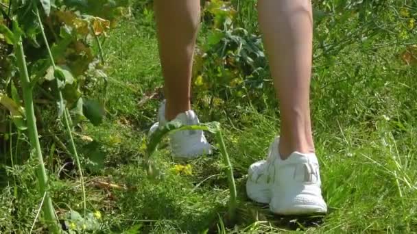 Pernas de uma jovem garota em tênis caminhar ao longo de um campo de colza florido no verão vista de volta — Vídeo de Stock