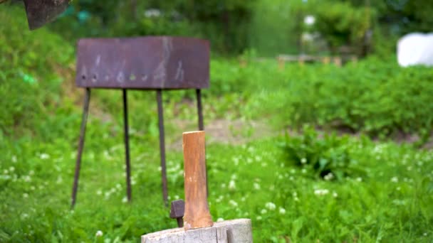 Ax chuletas de madera en un tocón de árbol, chico cortando madera en un bloque en el patio trasero — Vídeos de Stock