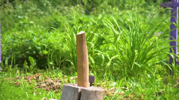 Chico cortando madera en un bloque en el patio trasero, un hacha corta madera en un tocón de árbol — Vídeos de Stock