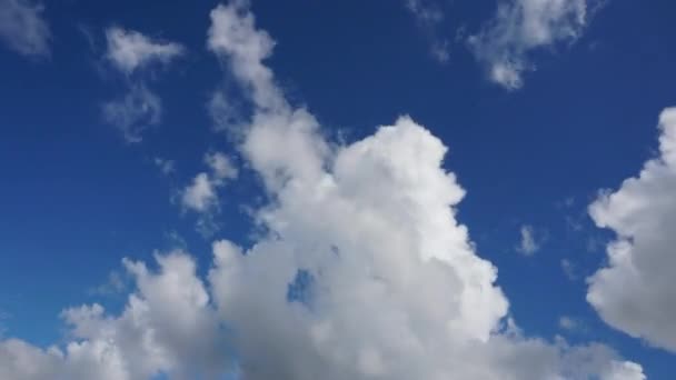 Проміжок часу красиве блакитне небо з фоном хмар. Текстура небесних хмар. Скайп з хмарами погодний візерунок природа хмарно-блакитний. Блакитне небо мріяти з швидкими хмарами — стокове відео