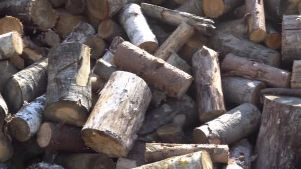 Duży stos drewna opałowego, tarcica, przygotowanie drewna opałowego na zimę, drewno opałowe na drwa — Wideo stockowe