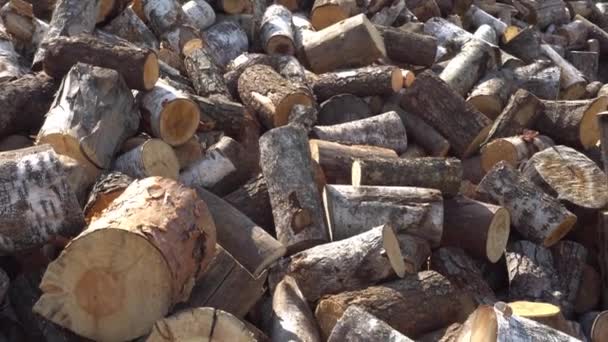 Ein großer Haufen gesägtes Brennholz, ein gesägter Baum, Vorbereitung von Brennholz für den Winter, Brennholz für den Holzfäller — Stockvideo