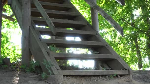 Ragazzi piedi scendono dalla casa sull'albero da scale di legno, rustico casa sull'albero fatta in casa per i bambini — Video Stock