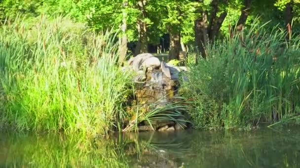Ставок з невеликим водоспадом в громадському парку, вода тече в ставку над камінцями — стокове відео
