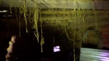 Tavanda örümcek ağları asılı eski terk edilmiş bodrum katı ve tavandan sarkan örümcek ağları.