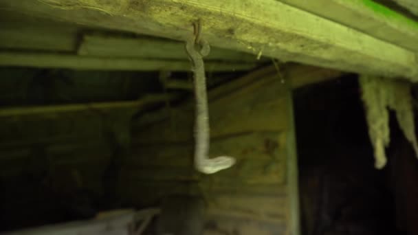 Rusty gancho cuelgan del techo y cuelgan en un sótano abandonado, un gancho de metal se mueven en un antiguo granero — Vídeos de Stock