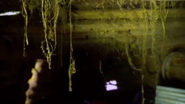 Παλιό εγκαταλελειμμένο υπόγειο με ιστούς αράχνης να κρέμονται από το ταβάνι, εγκαταλελειμμένο υπόγειο και ιστούς αράχνης να κρέμονται από το ταβάνι — Αρχείο Βίντεο