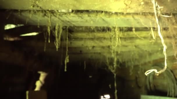 Cave abandonada velha com teias de aranha penduradas no teto, porão abandonado e teias de aranha penduradas no teto — Vídeo de Stock