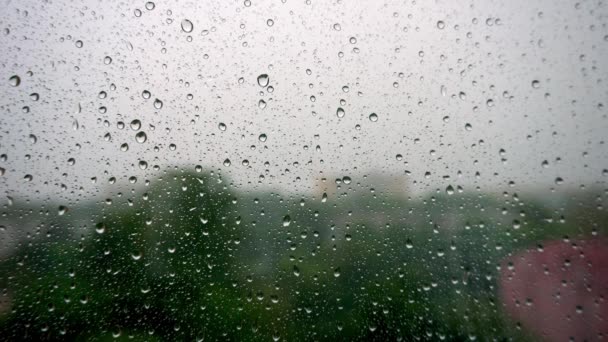 Yağmur damlaları camdan aşağı akar, penceredeki yağmur damlaları, hüzünlü duygular, özlem, donukluk, sonbahar depresyonu, kasvet. Yağmur, Drip, Yağmur Damlacıkları. — Stok video