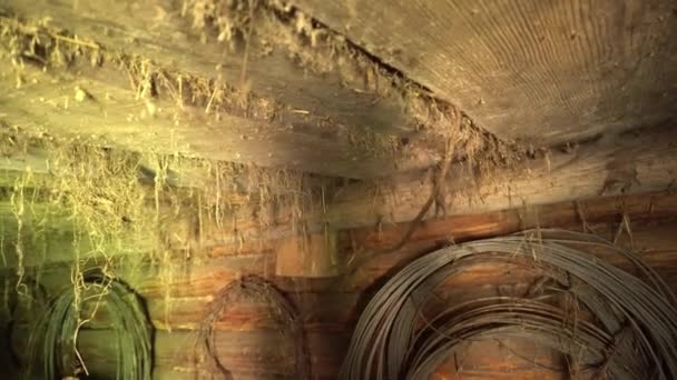 Ancien sous-sol abandonné avec toiles d'araignée suspendues au plafond, sous-sol abandonné et toiles d'araignée suspendues au plafond — Video