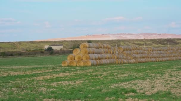 Słomkowe bele ułożone w piramidzie. Zebrane pole z belami, zbiory pszenicy do produkcji chleba. Słomkowe bele na ziemi uprawnej z niebieskim pochmurnym niebem. Kamera od lewej do prawej — Wideo stockowe