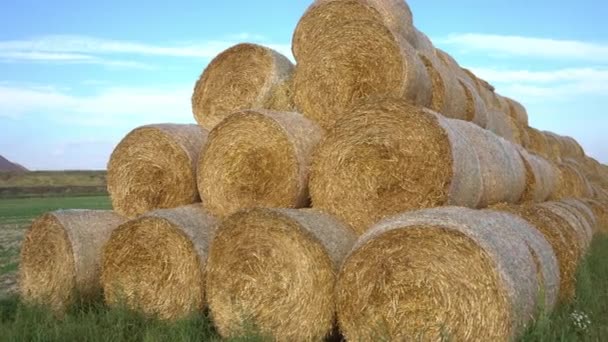 In een piramide gestapelde strobalen. Strobalen op landbouwgrond met een blauwe bewolkte lucht. Geoogst veld met balen, tarweoogst voor de broodproductie — Stockvideo