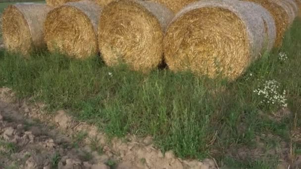 In een piramide gestapelde strobalen. Strobalen op landbouwgrond met een blauwe bewolkte lucht. Geoogst veld met balen, tarweoogst voor de broodproductie. Camera van onder naar boven — Stockvideo