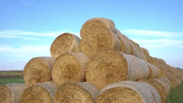 Straw bales stacked in a pyramid. Harvested field with bales, wheat harvesting for bread production. Straw bales on farmland with a blue cloudy sky. Camera from top to bottom — Stock Video