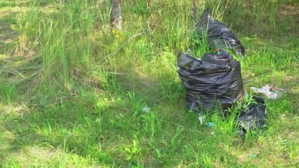 Poubelles dans des sacs noirs couchés dans la forêt, pollution de l'environnement, les touristes ont laissé des ordures dans un parc forestier, caméra de gauche à droite — Video