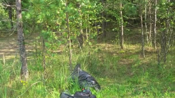Basura en bolsas negras en el bosque, contaminación ambiental, turistas dejaron basura en un parque forestal, cámara de arriba a abajo — Vídeo de stock