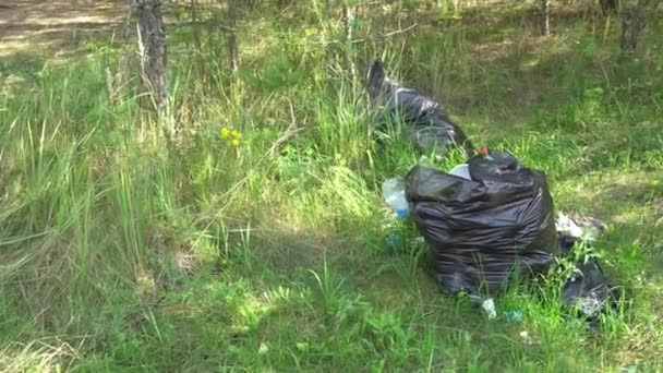 Lixo em sacos pretos que jazem na floresta, turistas deixaram lixo em um parque florestal, poluição ambiental, câmera da esquerda para a direita — Vídeo de Stock