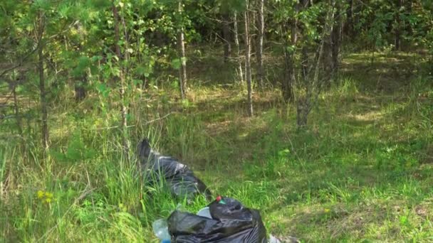 Spazzatura in sacchetti neri sdraiati nella foresta, inquinamento ambientale, i turisti hanno lasciato spazzatura in un parco forestale, macchina fotografica dall'alto verso il basso — Video Stock