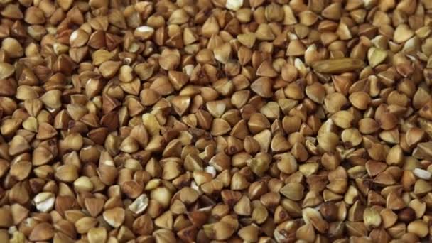 Grañones de trigo sarraceno primer plano girando como telón de fondo de un restaurante, trigo sarraceno común es semillas Fagopyrum tataricum — Vídeo de stock