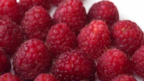 Himbeeren auf einem Teller auf weißem Hintergrund für ein Restaurant, saftige Himbeeren für die Werbung, frische Himbeeren in Nahaufnahme — Stockvideo