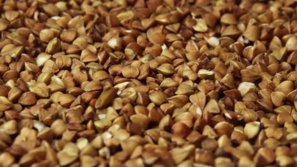 Grañones de trigo sarraceno primer plano girando como telón de fondo de un restaurante, trigo sarraceno común es semillas Fagopyrum tataricum — Vídeo de stock