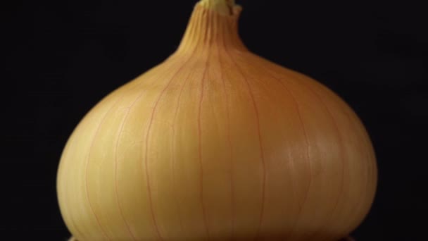 Onion spinning on black background, close shot of an onion solwly rotating on a black background — Stock Video