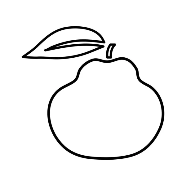 Illustration Contour Vectoriel Fruits Laid Dans Style Minimaliste Sur Fond — Image vectorielle