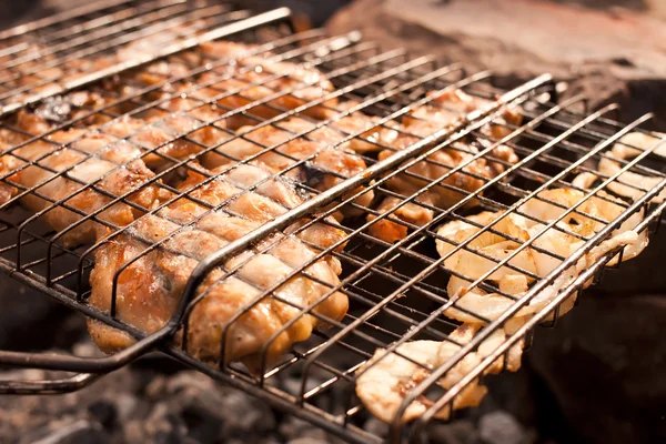 Sonbahar ormandaki Barbekü