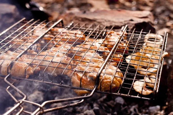 Sonbahar ormandaki Barbekü