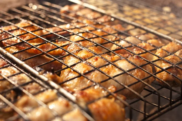 Sonbahar ormandaki Barbekü