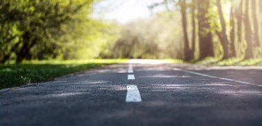 Parkta yürüyüş ve bisiklet yolları.