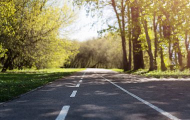 Parkta bisiklet yolu.