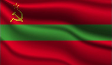 Transnistria Gerçekçi Modern Bayrak Tasarımı. Vektör çizimi. Arkaplan, doku veya pankart için kullanılacak.