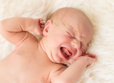 Newborn baby crying on white background clipart